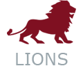 Lions Interim Management, Coaching & Consultancy